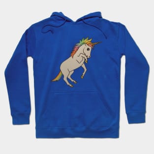 Rainbow Unicorn Pony Hoodie